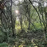 Odin's Rest Wild Glamping Kemping Bulmer