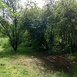 Odin's Rest Wild Glamping Bulmer