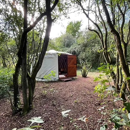 Odin's Rest Wild Glamping Camping