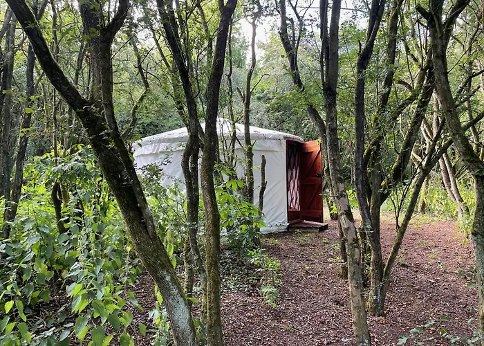 Camping Odin's Rest Wild Glamping