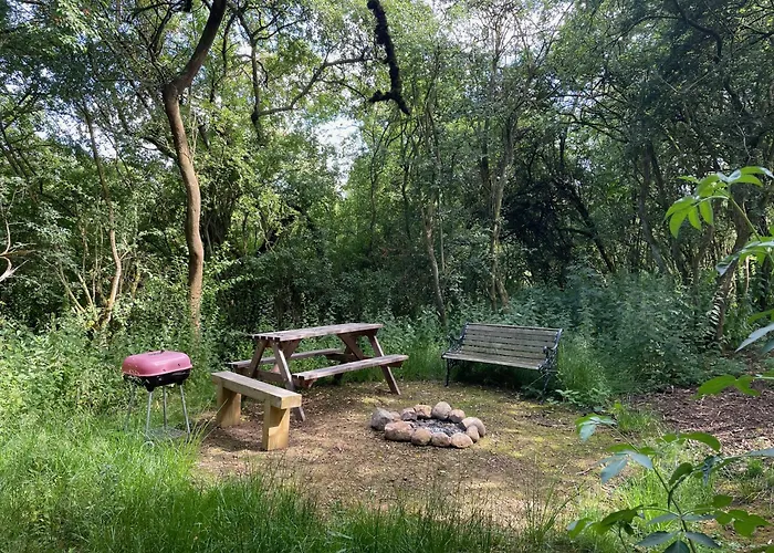 Odin's Rest Wild Glamping * Bulmer