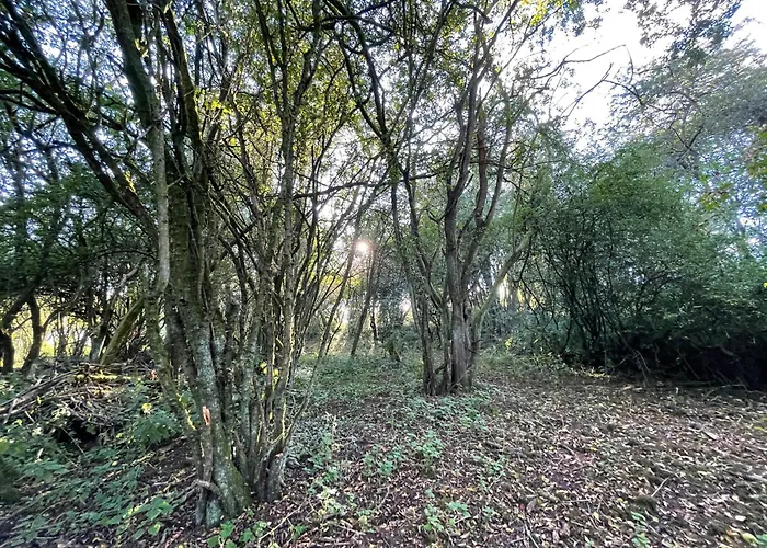 Camping Odin's Rest Wild Glamping