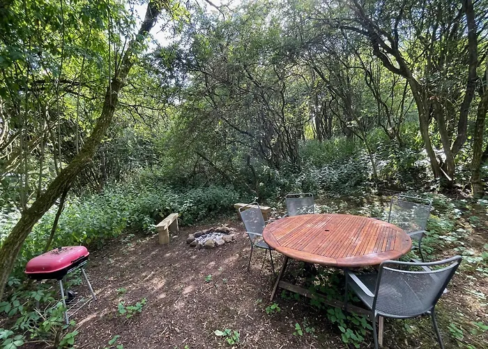 Odin's Rest Wild Glamping * Bulmer