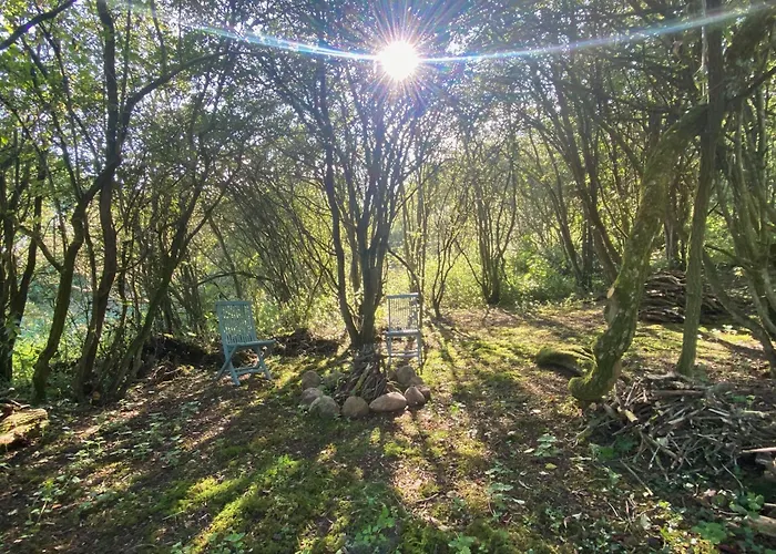 Camping Odin's Rest Wild Glamping Bulmer