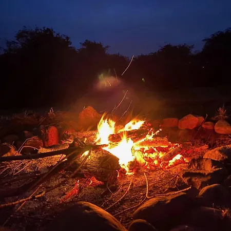 Odin's Rest Wild Glamping Campsite