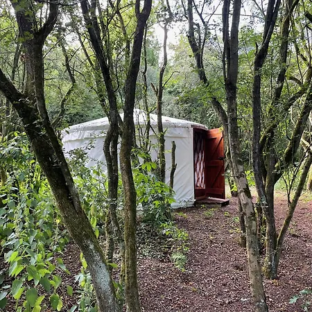 אתר קמפינג Odin's Rest Wild Glamping