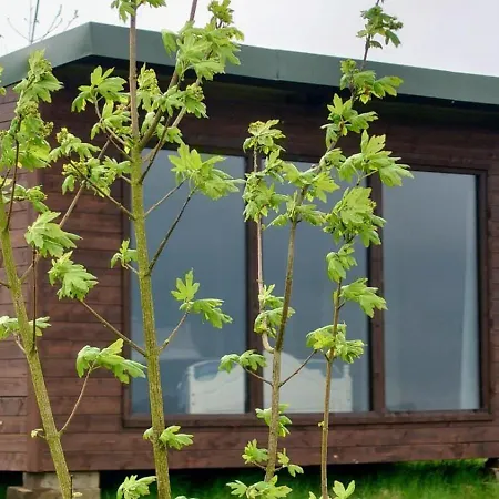 Odin's Rest Wild Glamping אתר קמפינג *