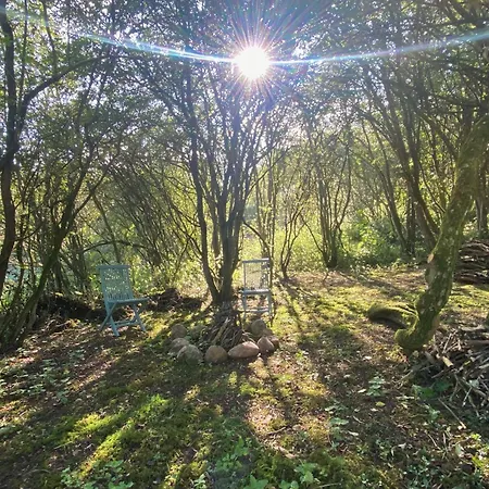 营地 Odin's Rest Wild Glamping Bulmer