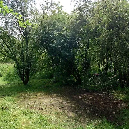 Odin's Rest Wild Glamping Bulmer